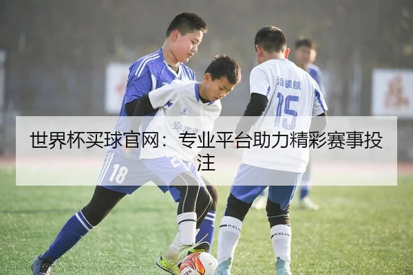 世界杯买球官网：专业平台助力精彩赛事投注