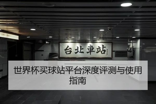 世界杯买球站平台深度评测与使用指南