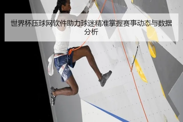 世界杯压球网软件助力球迷精准掌握赛事动态与数据分析