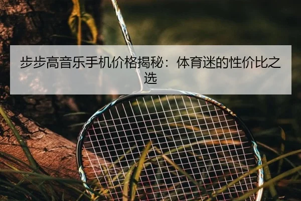 步步高音乐手机价格揭秘：体育迷的性价比之选